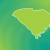 Icon of South Carolina