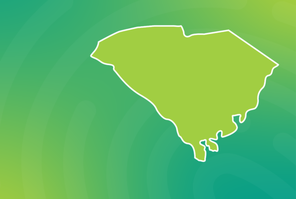 Icon of South Carolina